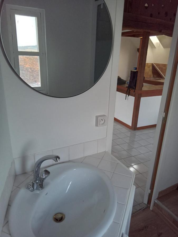 Auxerre - Abbaye Saint Germain Apartment Ngoại thất bức ảnh
