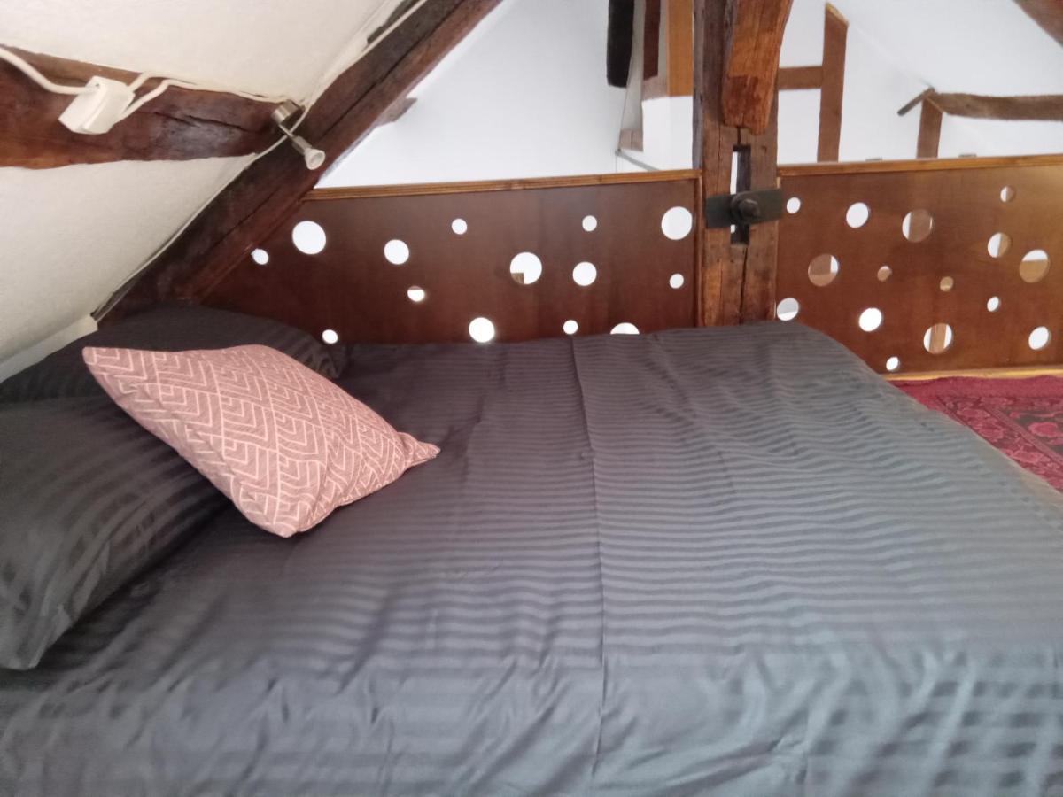 Auxerre - Abbaye Saint Germain Apartment Ngoại thất bức ảnh