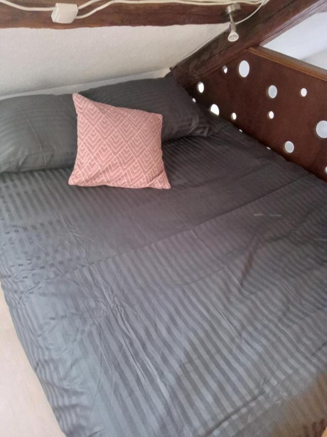 Auxerre - Abbaye Saint Germain Apartment Ngoại thất bức ảnh